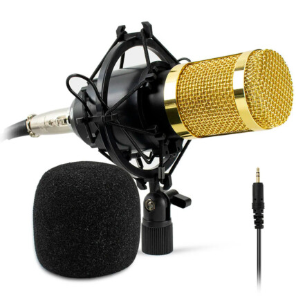 Microfone Condensador Profissional Conexão P2 com Espuma - BM700